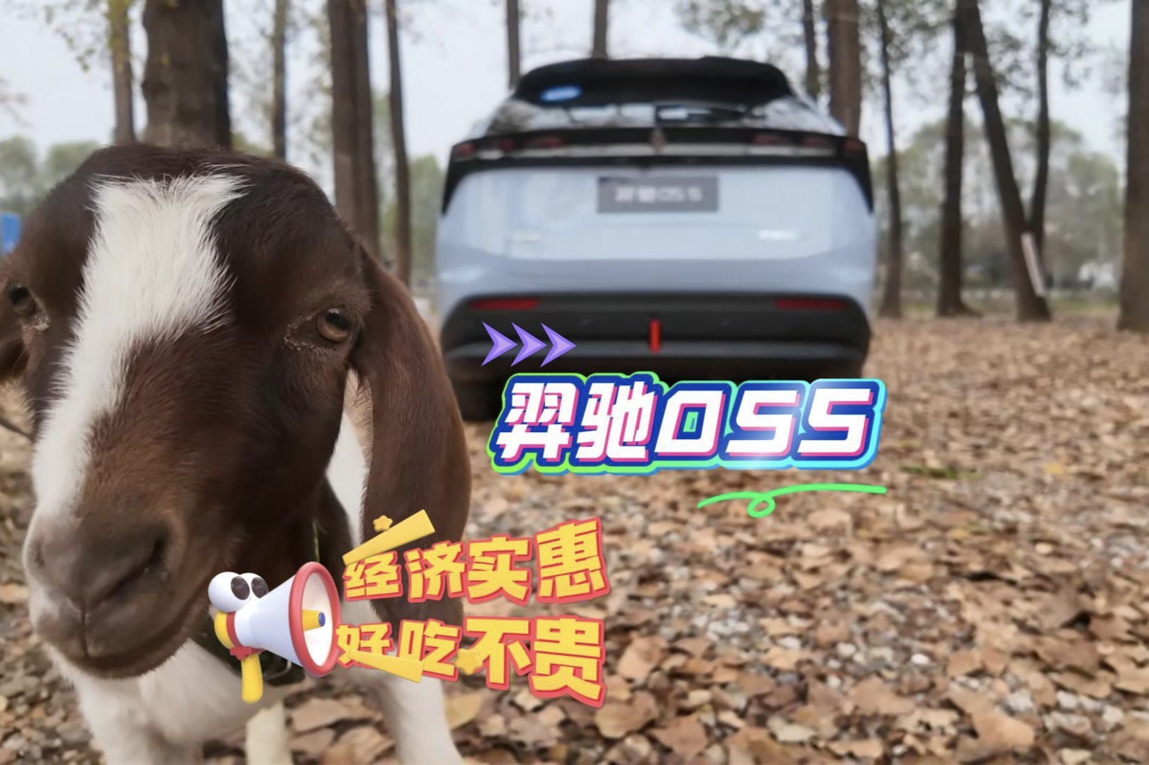 羿驰05S试驾 不追“潮流” 专注可靠与实用