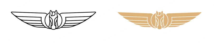 百万银河进阶之作！银河 V900官图首曝  V系列序章正式启幕