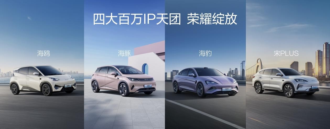 四年累销超600万辆，百万海豚助力海洋网发展加速度