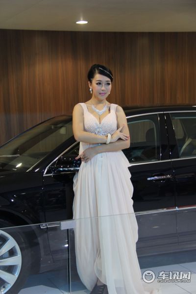 大众(进口)8号车模