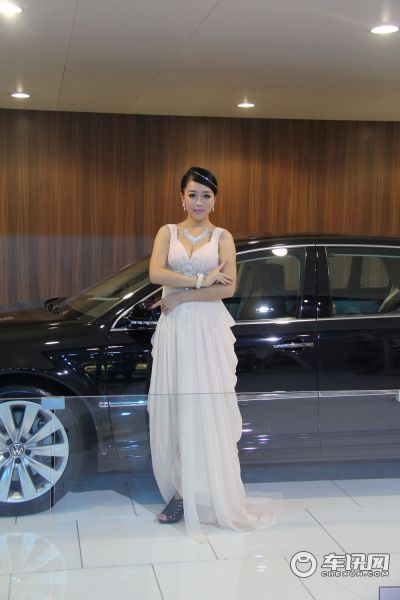 大众(进口)8号车模