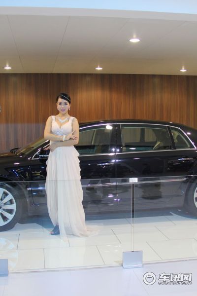 大众(进口)8号车模