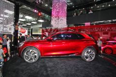 长安标致雪铁龙-DS-WR