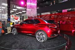 长安标致雪铁龙-DS-WR