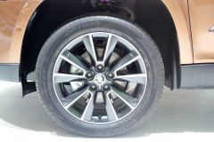 上海大众斯柯达-野帝