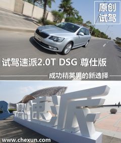 上海大众斯柯达-速派-2.0TSI DSG尊仕版