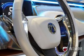 比亚迪戴姆勒-腾势DENZA-基本型