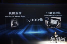 东风标致-2008上市