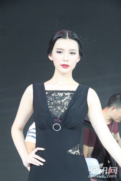 奥迪(进口)4号车模