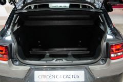 雪铁龙-雪铁龙C4 Cactus