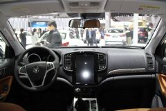 福田汽车-萨瓦纳