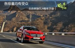 各排量均有受众 北京奔驰GLA购车手册