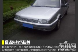 汽车界的搬运工 成都车展点评之川汽野马