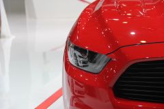 赛麟汽车-赛麟野马