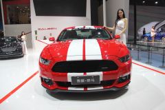 赛麟汽车-赛麟野马