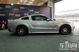 赛麟汽车-赛麟野马-赛麟野马