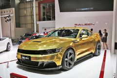 赛麟汽车-赛麟野马