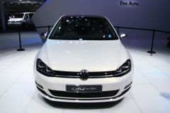 大众-高尔夫(进口)