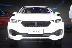 魏派汽车-W01