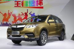 绵阳金杯-蒂阿兹