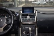 雷克萨斯-雷克萨斯NX-300h 全驱 锋致版