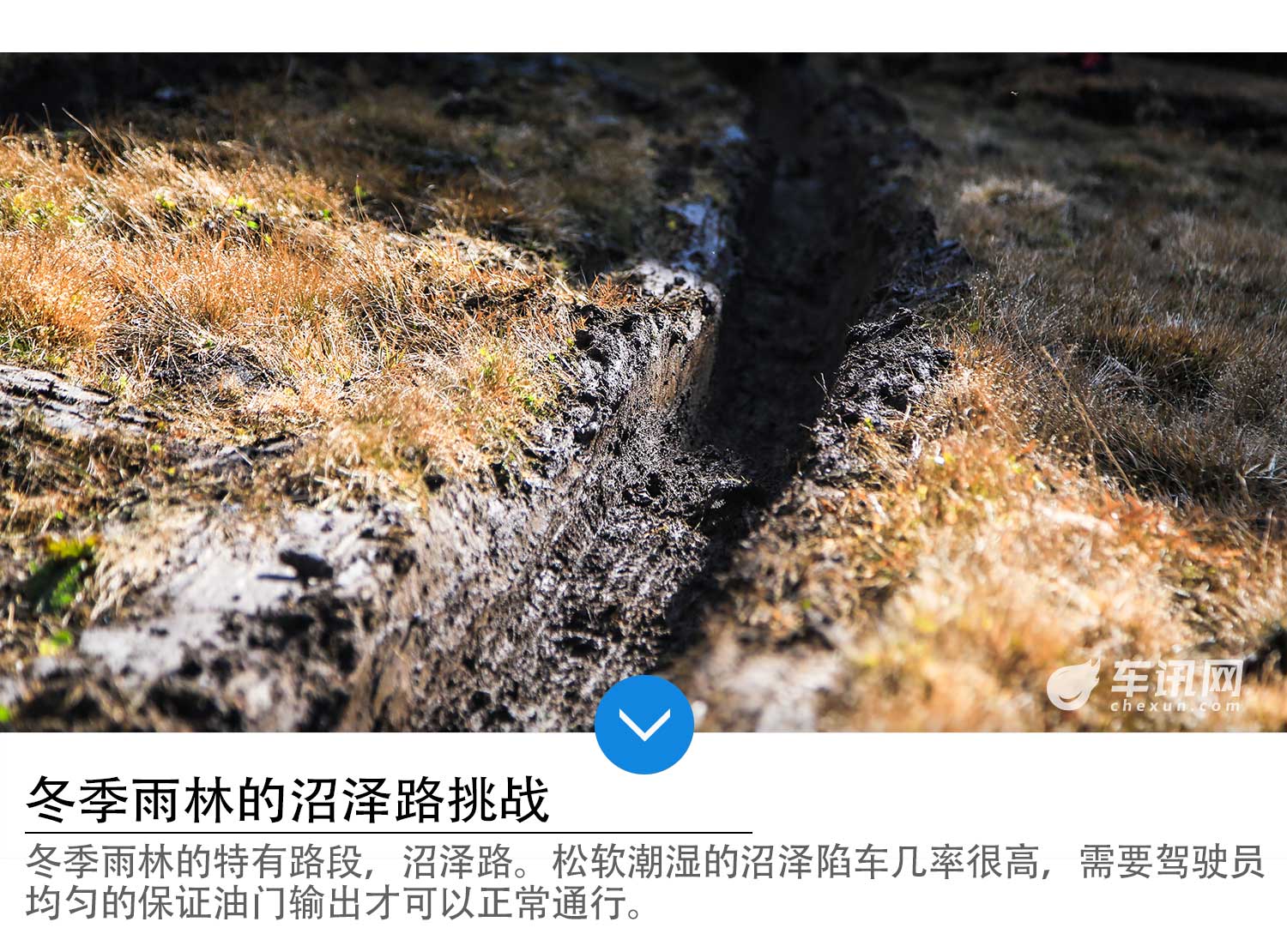 BJ40L柴油版领衔 随越野世家征服冬季雨林