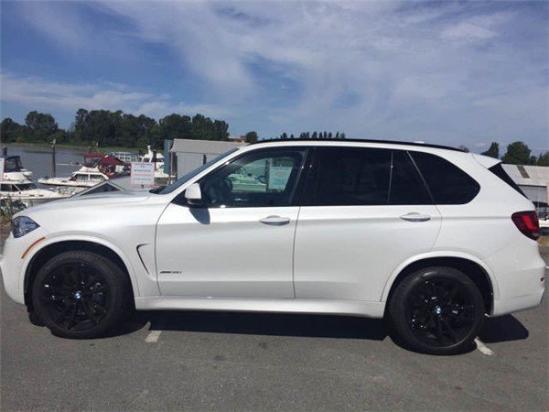 17款加版宝马X5M版 3.0T汽油凸显运动范-图5