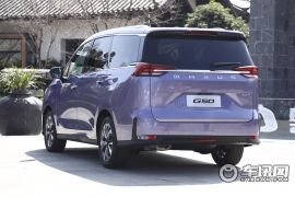 上汽大通-上汽大通G50