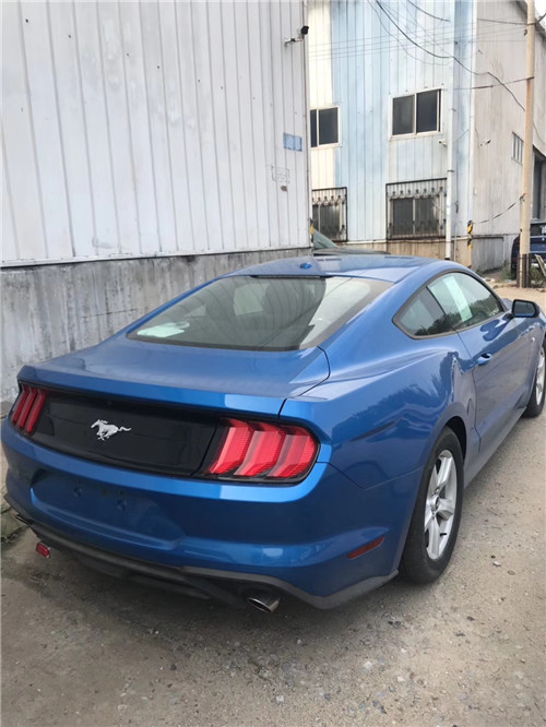 dealer_default_05b8a245c31a4461992b9210c6329a26.jpg