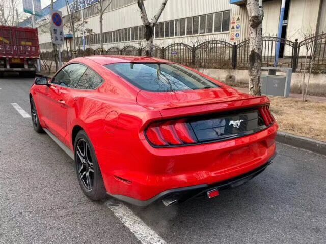 19款加拿大版福特野马P版赛道红/黑出售