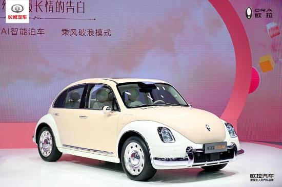 欧拉，生于她时代更高于她时代              