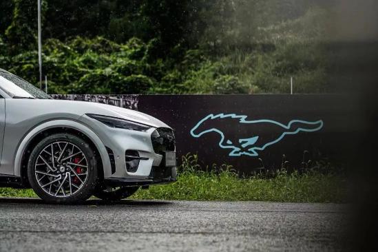 还看Model Y你就out了，这车外观更吸睛，关键是没有硬伤