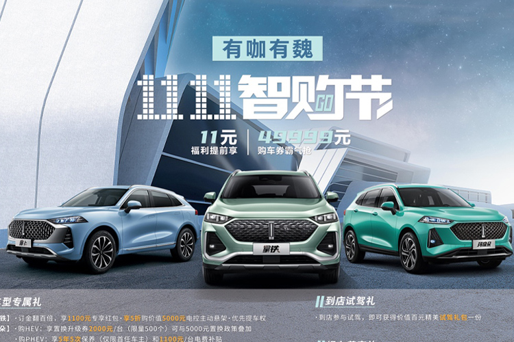 多重车主福利已到，魏牌双11智购节火爆进行中
