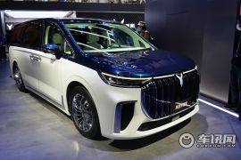 岚图汽车-梦想家