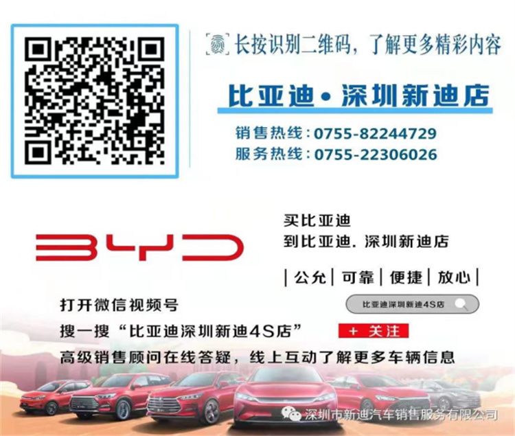 深圳新迪4S店：比亚迪海豚初体验 堪称十万元精品标杆