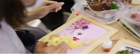 欧拉芭蕾猫拒绝大众化—广州增城东汇城定展