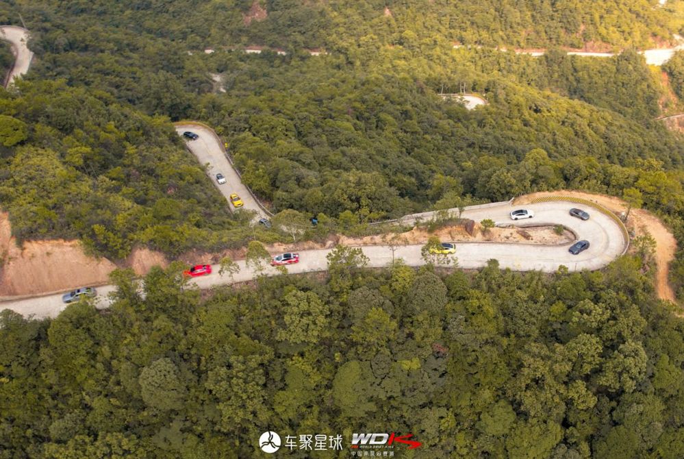 什么？！南昆山五连发夹弯竟来了一群“不速之客”！