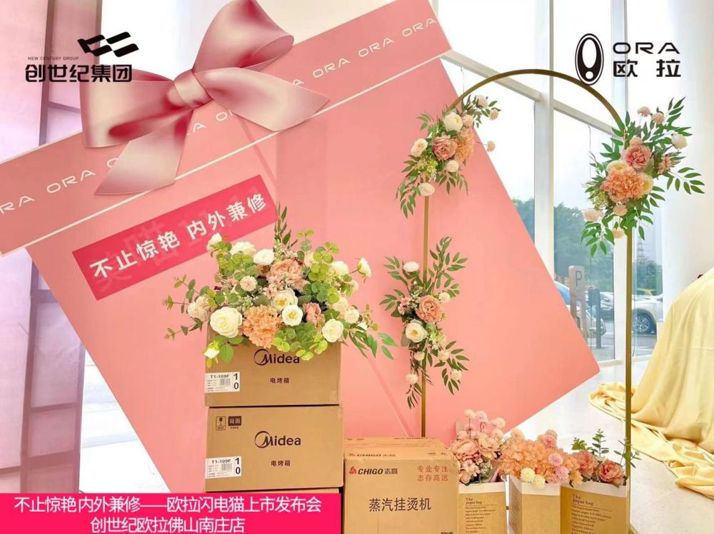 欧拉佛山创世纪店闪电猫惊艳上市       