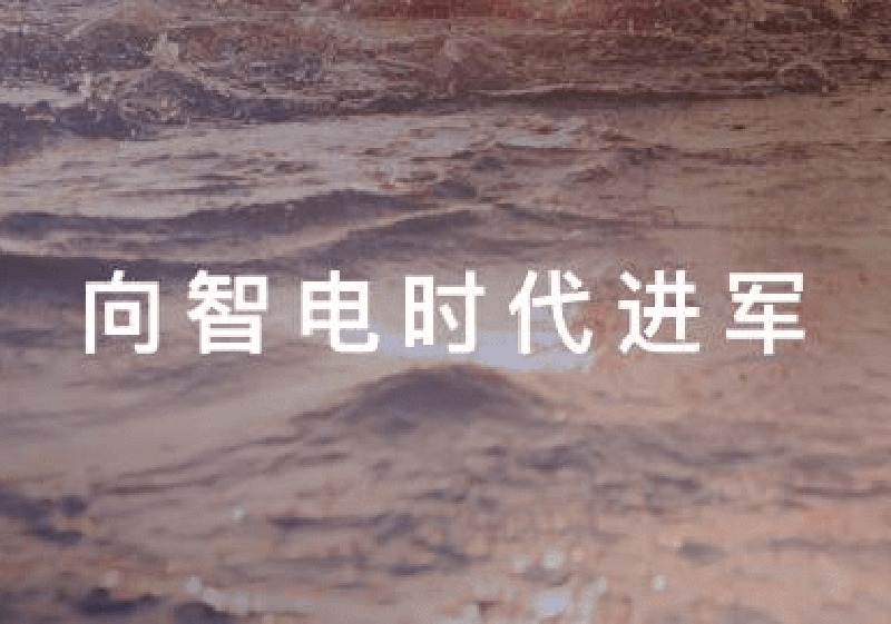 上海车展热点 证明自己，是谁在为生存而战