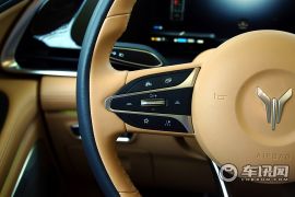 岚图汽车-梦想家