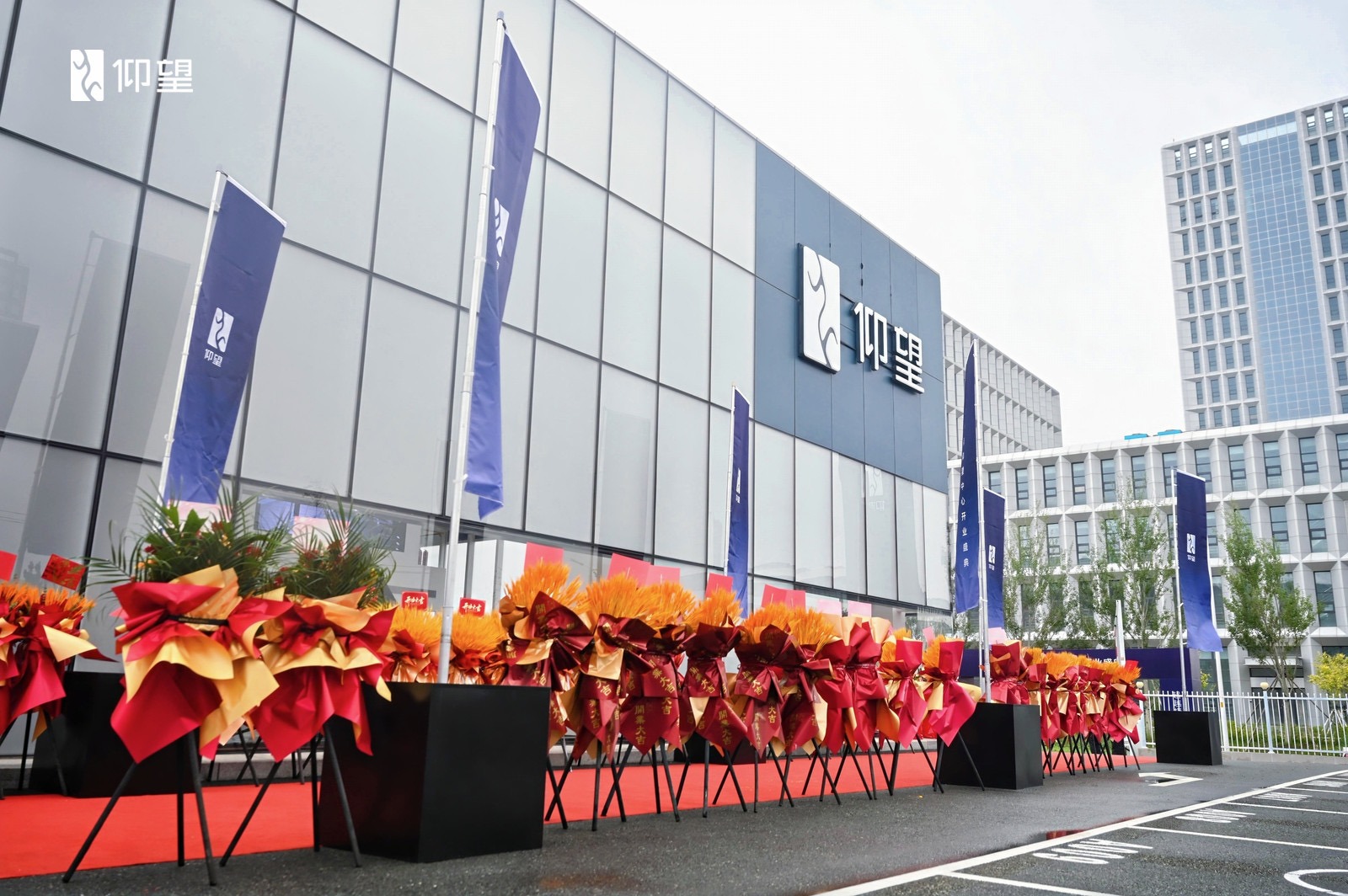 长春净月仰望中心开业，以全直营服务持续提升用户体验
