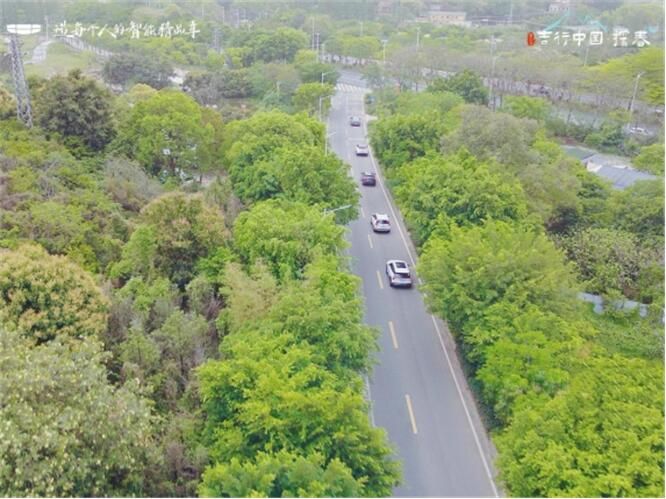 吉行中国·探春 | 踏春光，寻初心，共赴一场红色文化之旅