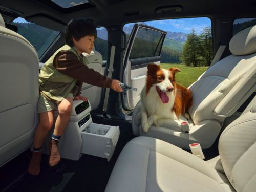 给老人小孩专属守护！2026款东风奕派eπ008，家用新能源六座SUV