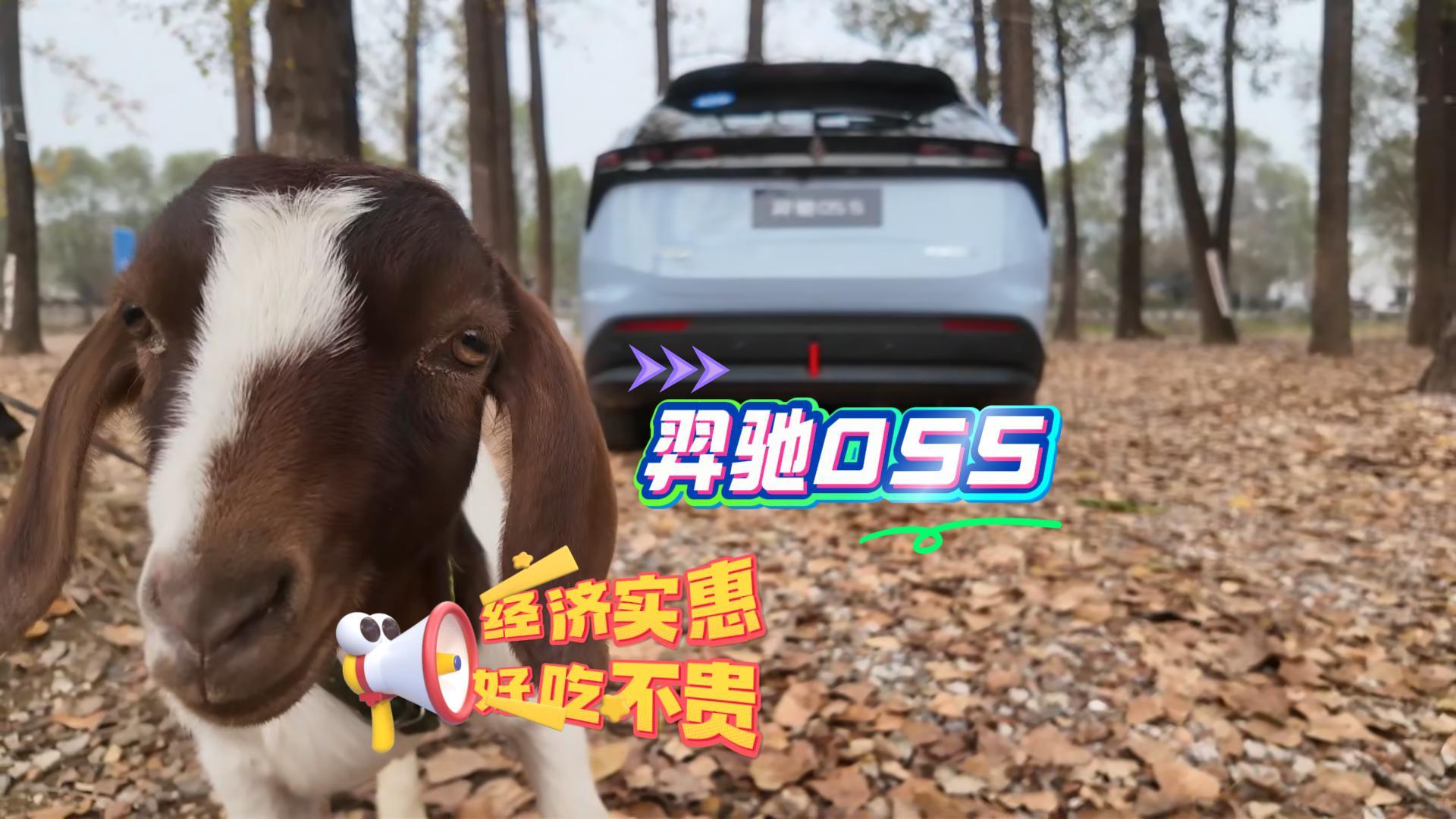 羿驰05s试驾 不盲追潮流 坚持实用与务实