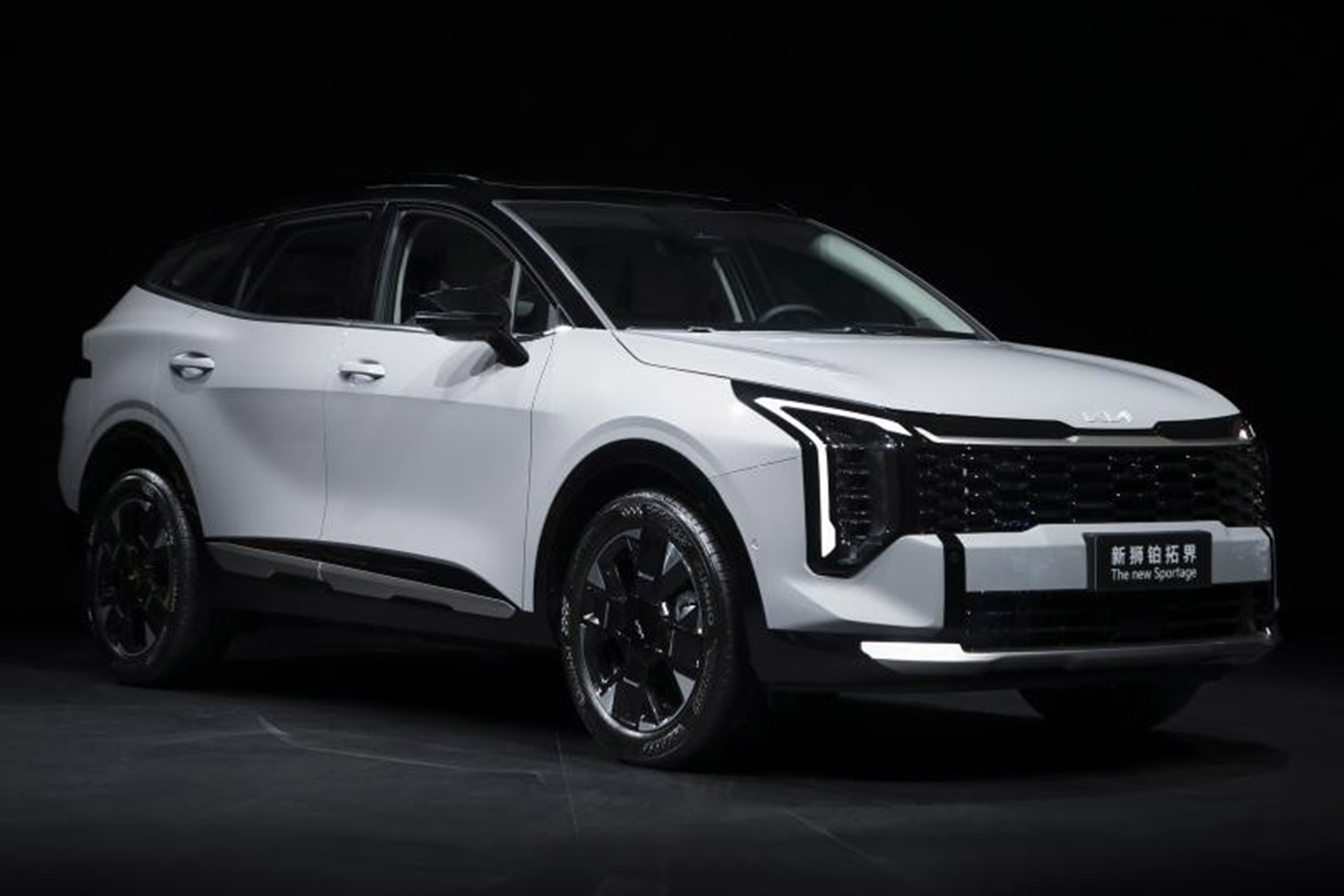 李娜代言新狮铂拓界 起亚携全明星车型闪耀广州车展