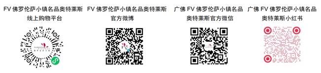 “行千里经典车嘉年华2025”赛事于广佛FV佛罗伦萨小镇收车