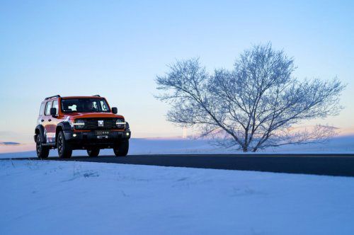 从50万份热爱到极地荣耀 坦克300极地版正式上市 