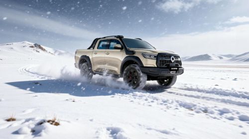 无惧冰封 全域征服：2026款越野炮上演冬日实力秀