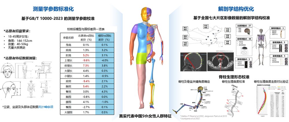 AC-HUMs 5百分位女性人体数字模型发布  