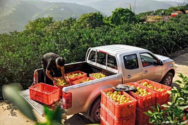 “开不坏”的品质：从一辆老风骏的回家路，看风骏20年的价值沉淀